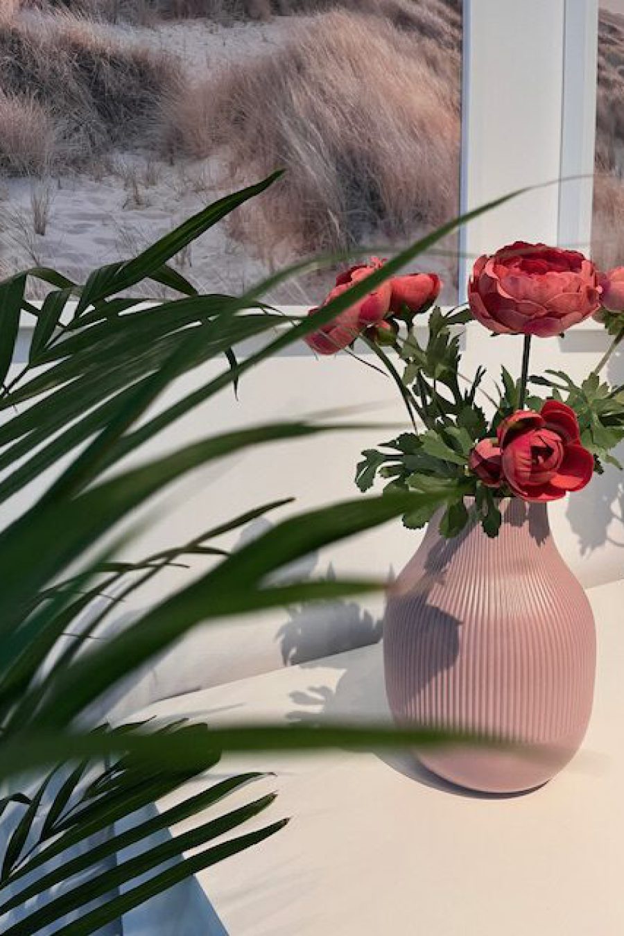 rechtsanwaeltin-nicola-weller-insolvenzrecht-schuldenberatung-frauenberatung-hilfe-fuer-frauen-schuldenfrei-ohne-insolvenz-online